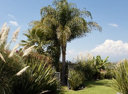 casa de Lujo en Atlixco moderna con Alberca y Jardines – El Encanto