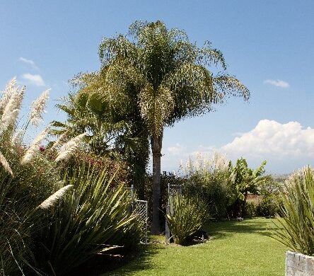 casa de Lujo en Atlixco moderna con Alberca y Jardines – El Encanto