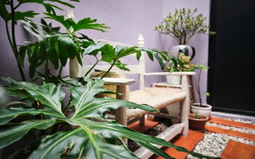 Casa en Venta recamaras en planta baja Lomas de Angelópolis III, Puebla