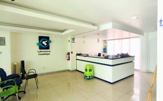Venta edificio 907 m² en 16 Sur Puebla Hospital Guadalupe – Clinica, Escuela u Oficinas