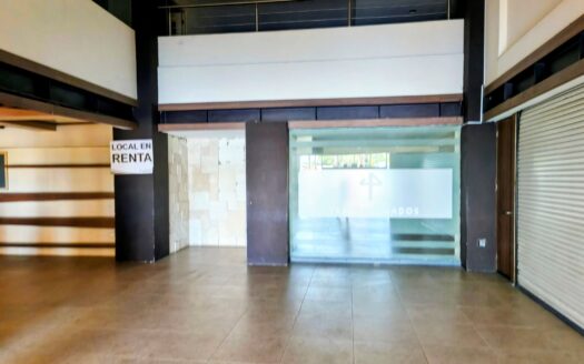 renta Locales Comerciales y oficinas palmas plaza | Atlixcayotl con marcas Ancla