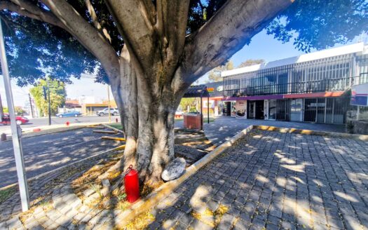 Oficinas en renta en 25 Poniente, Puebla | 240 m² en esquina con estacionamiento
