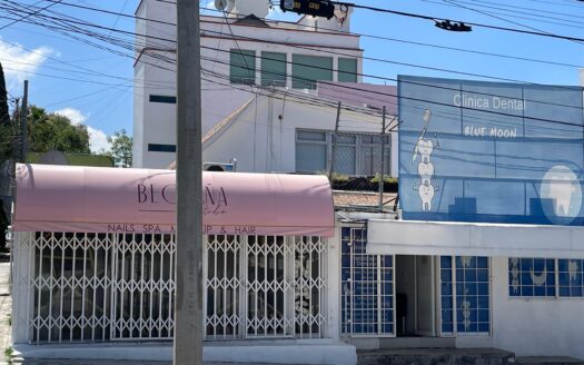 Casa con dos locales comerciales en remate judicial en Belisario Domínguez, Puebla