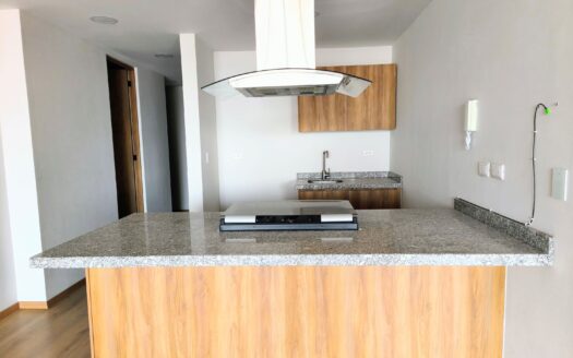 Penthouse y Departamentos en Venta en La Noria Puebla desde $3.1 M | Torre BAORI con Alberca, Gym y Rooftop