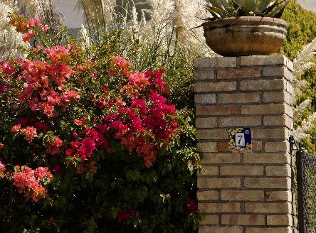 casa de Lujo en Atlixco moderna con Alberca y Jardines – El Encanto