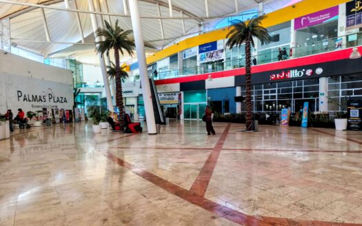 renta Locales Comerciales y oficinas palmas plaza | Atlixcayotl con marcas Ancla