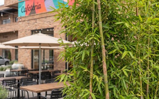 Locales Comerciales en Preventa en Cascatta Lomas de Angelópolis | Plaza Circle