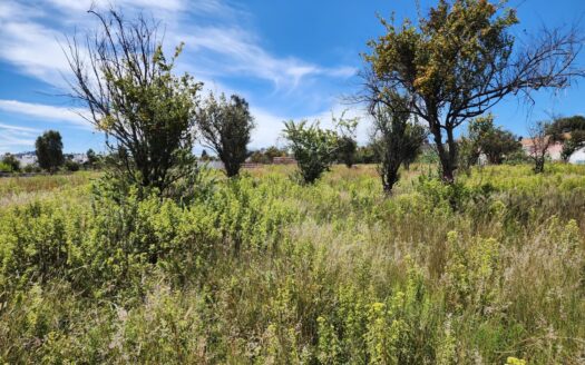 Terreno en Venta en San Mateo Cuanalá, Puebla – 285 m²