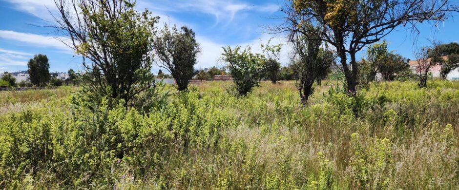 Terreno en Venta en San Mateo Cuanalá, Puebla – 285 m²