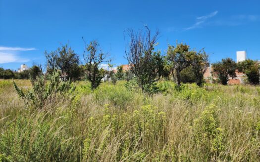 Terreno en Venta en San Mateo Cuanalá, Puebla – 285 m²