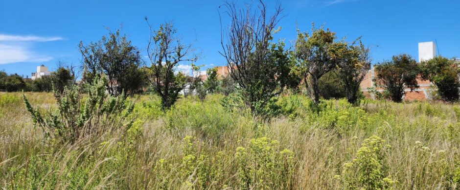 Terreno en Venta en San Mateo Cuanalá, Puebla – 285 m²
