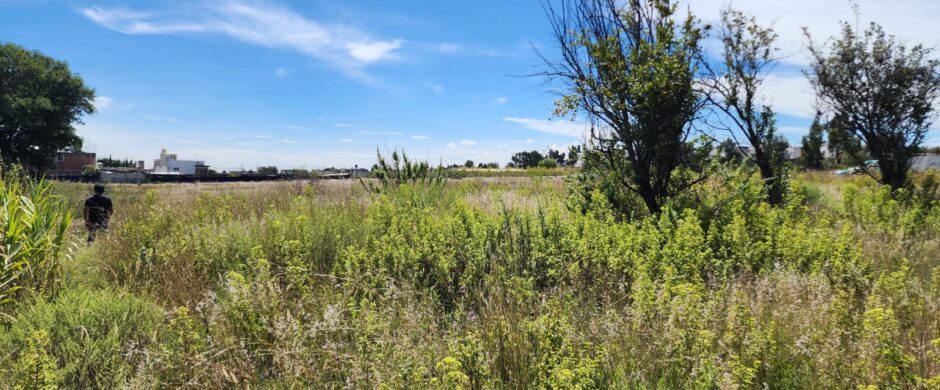 Terreno en Venta en San Mateo Cuanalá, Puebla – 285 m²